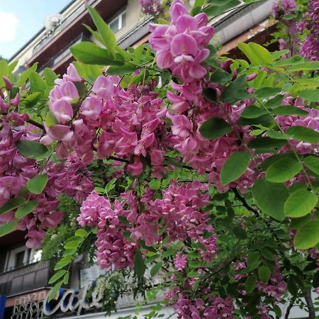 Pulawska 53 Lägenhet Warszawa Exteriör bild