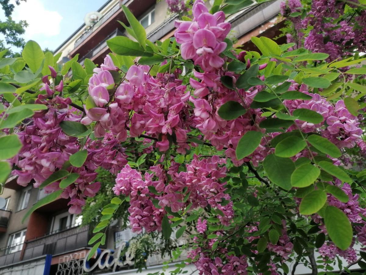 Pulawska 53 Lägenhet Warszawa Exteriör bild